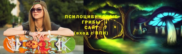 МДПВ Алексин