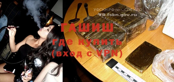 индика Алзамай