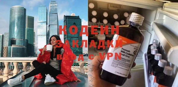 индика Алзамай