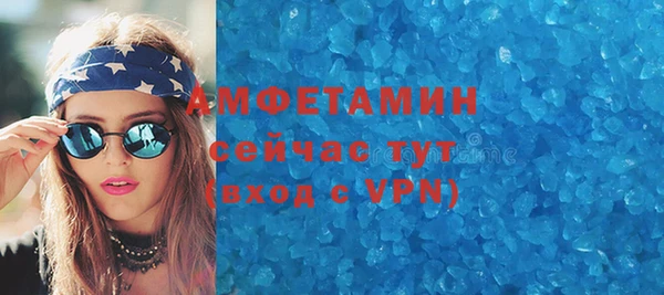индика Алзамай