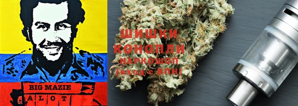 индика Алзамай