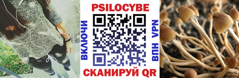 Псилоцибиновые грибы Psilocybine cubensis  Луза 